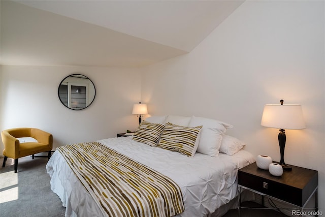 827 Maxwell Ave Unit H, Boulder, CO 80304 - view of carpeted bedroom