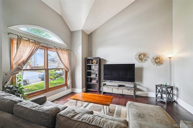 10525 Hobbit Ln, Westminster, CO 80031 - living area featuring hardwood / wood-style floors and high vaulted ceiling