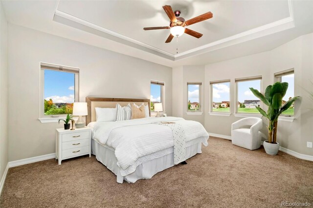 5954 Black Lion Ct, Windsor, CO 80550 - photo 8