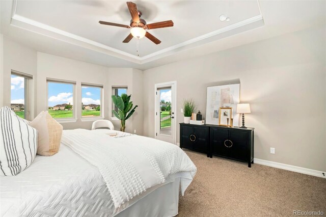 5954 Black Lion Ct, Windsor, CO 80550 - photo 10