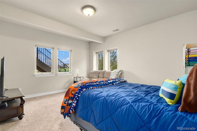 5954 Black Lion Ct, Windsor, CO 80550 - photo 25