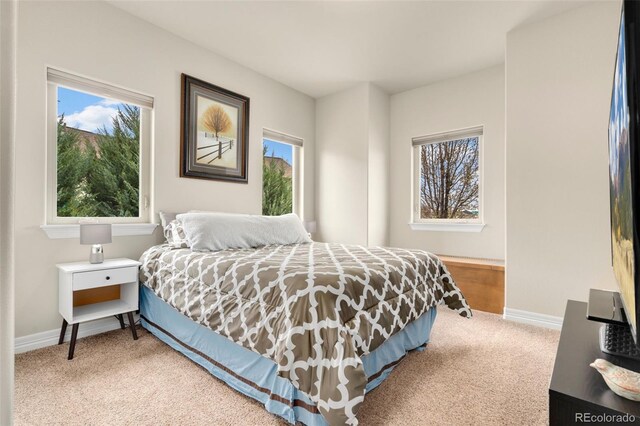 5954 Black Lion Ct, Windsor, CO 80550 - photo 26