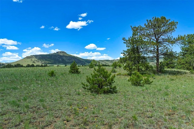 56 View Ln, Guffey, CO 80820 - photo 3