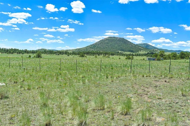 56 View Ln, Guffey, CO 80820 - photo 4