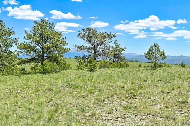 56 View Ln, Guffey, CO 80820 - photo 6