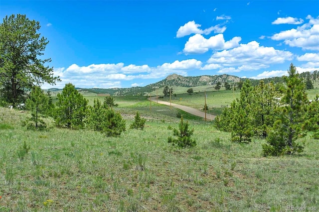 56 View Ln, Guffey, CO 80820 - photo 8