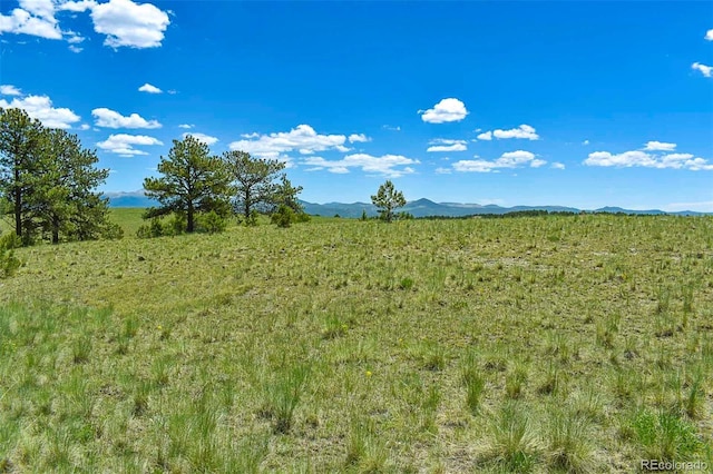 56 View Ln, Guffey, CO 80820 - photo 9