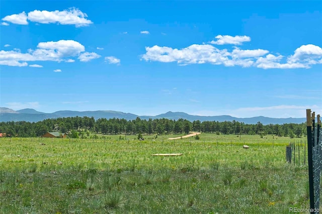 56 View Ln, Guffey, CO 80820 - photo 10