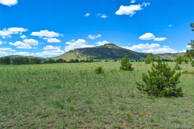 56 View Ln, Guffey, CO 80820 - photo 11