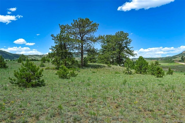 56 View Ln, Guffey, CO 80820 - photo 12