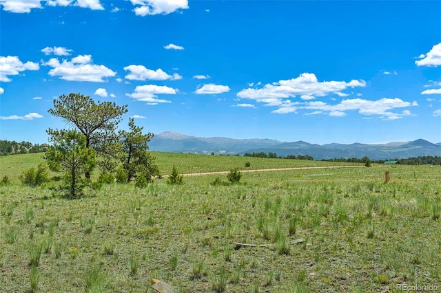 56 View Ln, Guffey, CO 80820 - photo 13