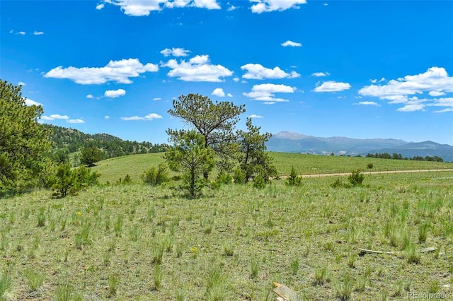 56 View Ln, Guffey, CO 80820 - photo 14
