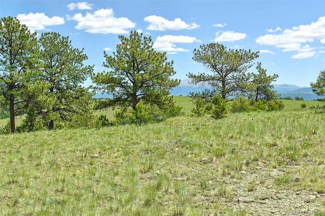 56 View Ln, Guffey, CO 80820 - photo 15