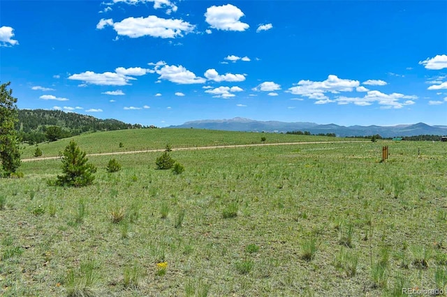 56 View Ln, Guffey, CO 80820 - photo 16