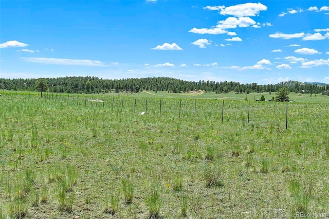 56 View Ln, Guffey, CO 80820 - photo 17