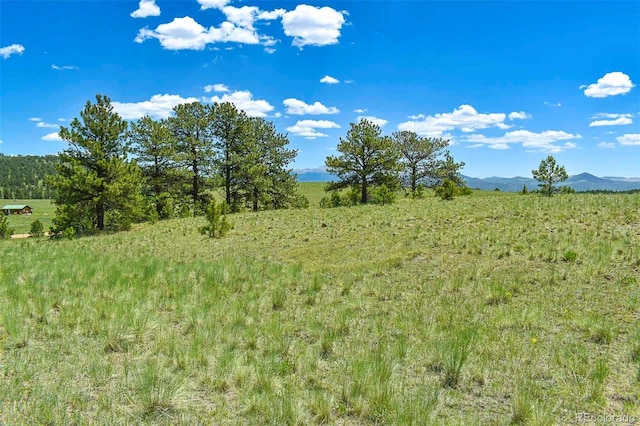 56 View Ln, Guffey, CO 80820 - photo 18