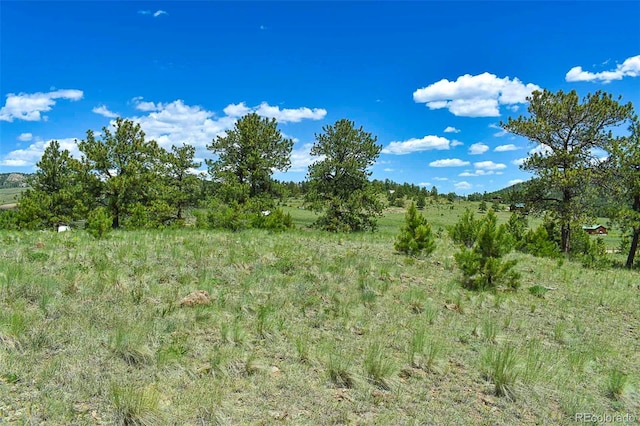 56 View Ln, Guffey, CO 80820 - photo 19