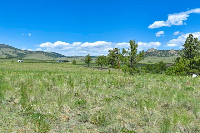 56 View Ln, Guffey, CO 80820 - photo 21