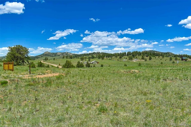 56 View Ln, Guffey, CO 80820 - photo 24