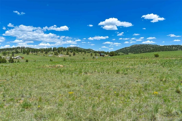 56 View Ln, Guffey, CO 80820 - photo 25