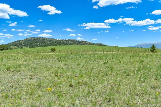 56 View Ln, Guffey, CO 80820 - photo 26