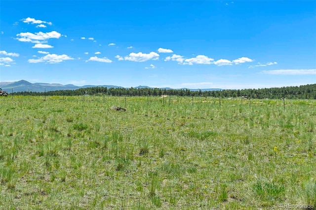 56 View Ln, Guffey, CO 80820 - photo 28