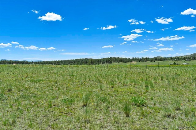 56 View Ln, Guffey, CO 80820 - photo 29