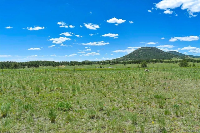56 View Ln, Guffey, CO 80820 - photo 30