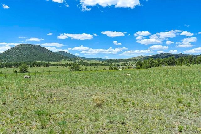 56 View Ln, Guffey, CO 80820 - photo 31