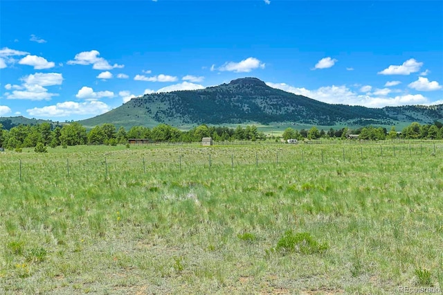 56 View Ln, Guffey, CO 80820 - photo 32