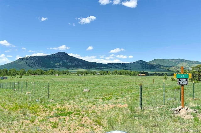 56 View Ln, Guffey, CO 80820 - photo 36