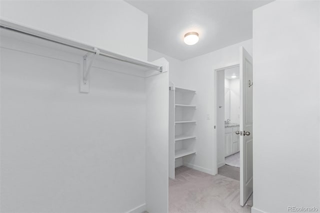 17825 Gallup St, Broomfield, CO 80023 - walk in closet with light carpet