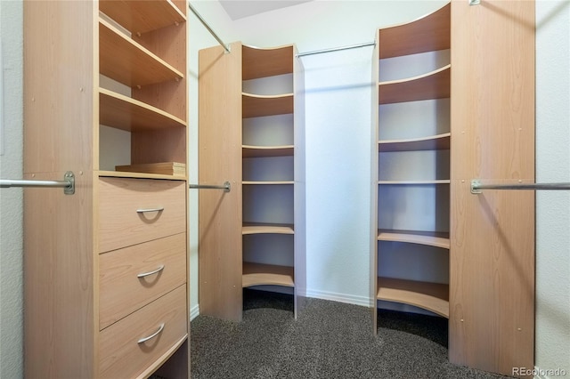 walk in closet with carpet floors