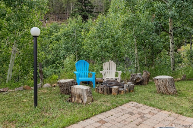 view of yard with an outdoor fire pit and a patio