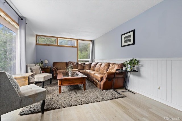 living room with a wealth of natural light, wainscoting, and light wood-style flooring