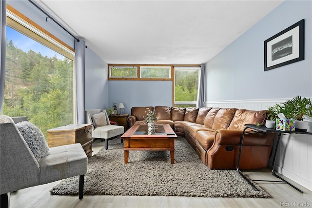 living room with plenty of natural light and light wood-type flooring