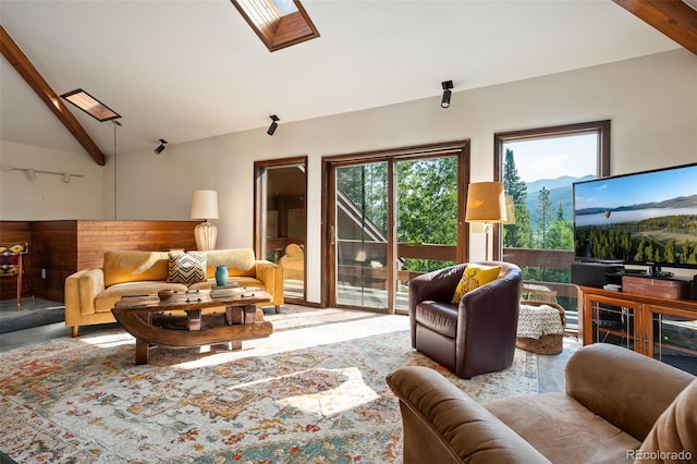 2246 Gcr 8, Fraser, CO 80442 - living room with a skylight