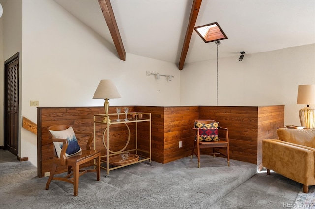 2246 Gcr 8, Fraser, CO 80442 - sitting room with carpet flooring