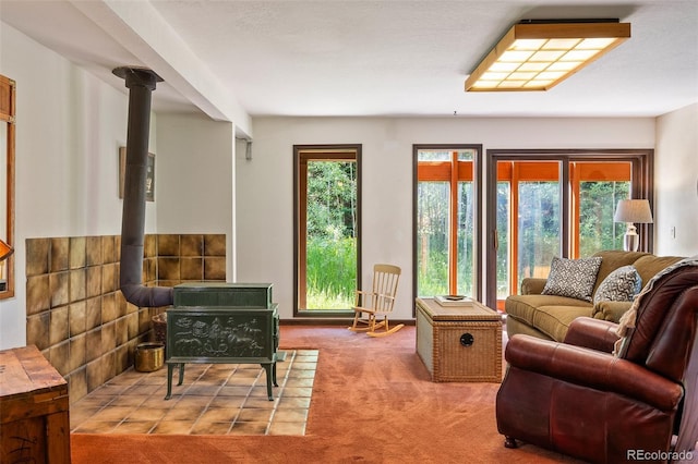 2246 Gcr 8, Fraser, CO 80442 - carpeted living area with a wood stove