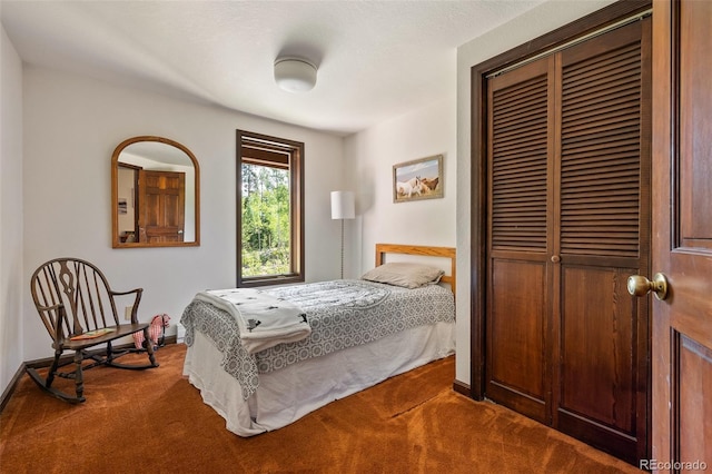2246 Gcr 8, Fraser, CO 80442 - bedroom with dark carpet and a closet