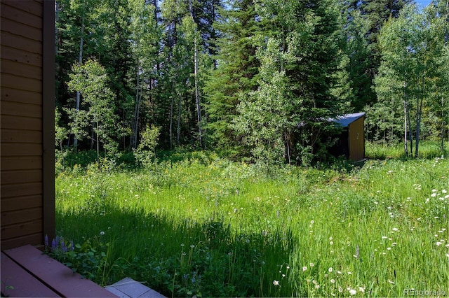 2246 Gcr 8, Fraser, CO 80442 - view of woods