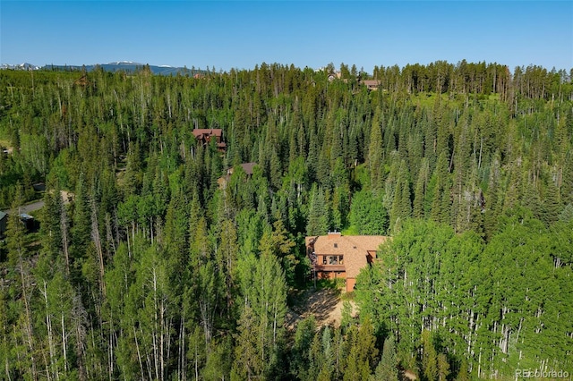 2246 Gcr 8, Fraser, CO 80442 - view of subject property with a forest