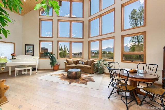 426 S San Juan Ave, Buena Vista, CO 81211 - living area with a towering ceiling, a mountain view, and wood-type flooring