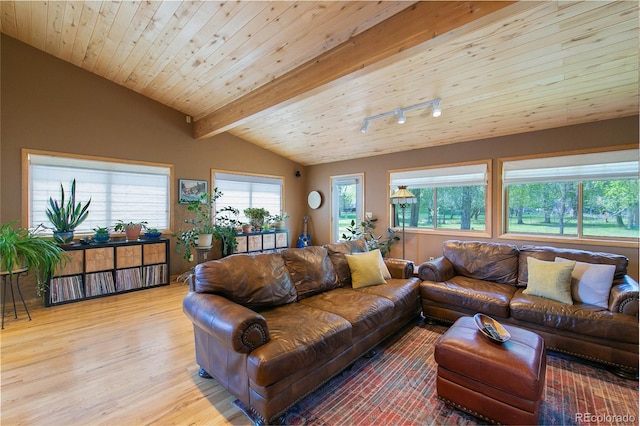 426 S San Juan Ave, Buena Vista, CO 81211 - living area with light wood-style flooring and wood ceiling