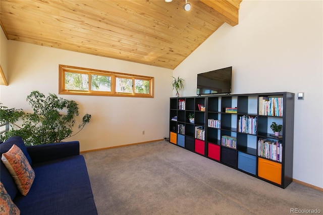 426 S San Juan Ave, Buena Vista, CO 81211 - sitting room with wooden ceiling, carpet, and baseboards