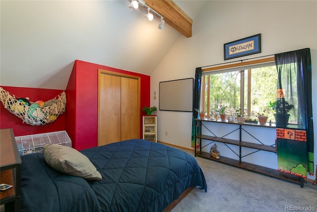 426 S San Juan Ave, Buena Vista, CO 81211 - carpeted bedroom with track lighting, a closet, and baseboards