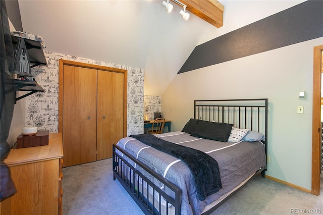 426 S San Juan Ave, Buena Vista, CO 81211 - bedroom featuring light carpet, a closet, and track lighting