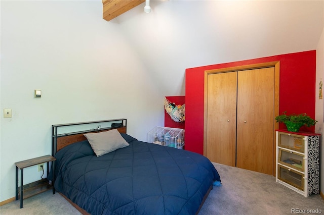 426 S San Juan Ave, Buena Vista, CO 81211 - bedroom with carpet and a closet