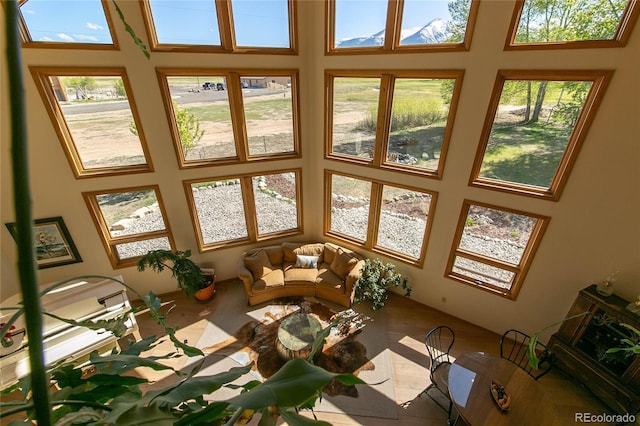 426 S San Juan Ave, Buena Vista, CO 81211 - sunroom featuring a towering ceiling