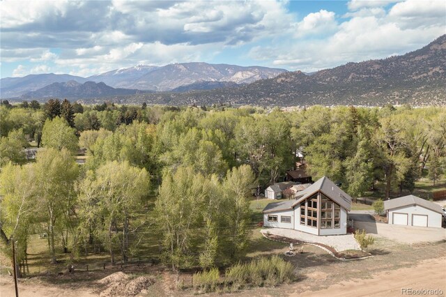 426 S San Juan Ave, Buena Vista, CO 81211 - view of mountain backdrop featuring a forest